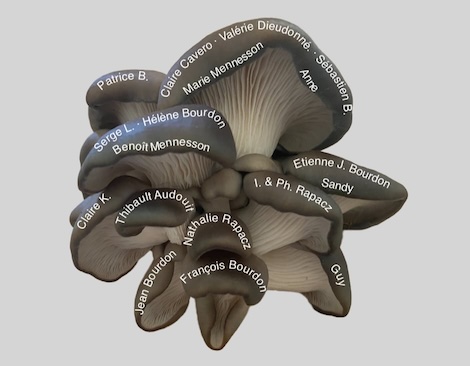 Nom des donateurs sur Miimosa inscrits dans un pleurote